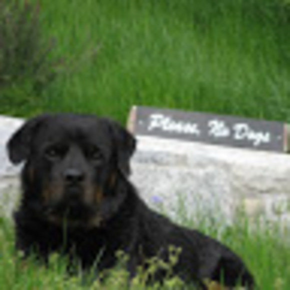 Meet your Posher, Uti - Picture 1 of 1